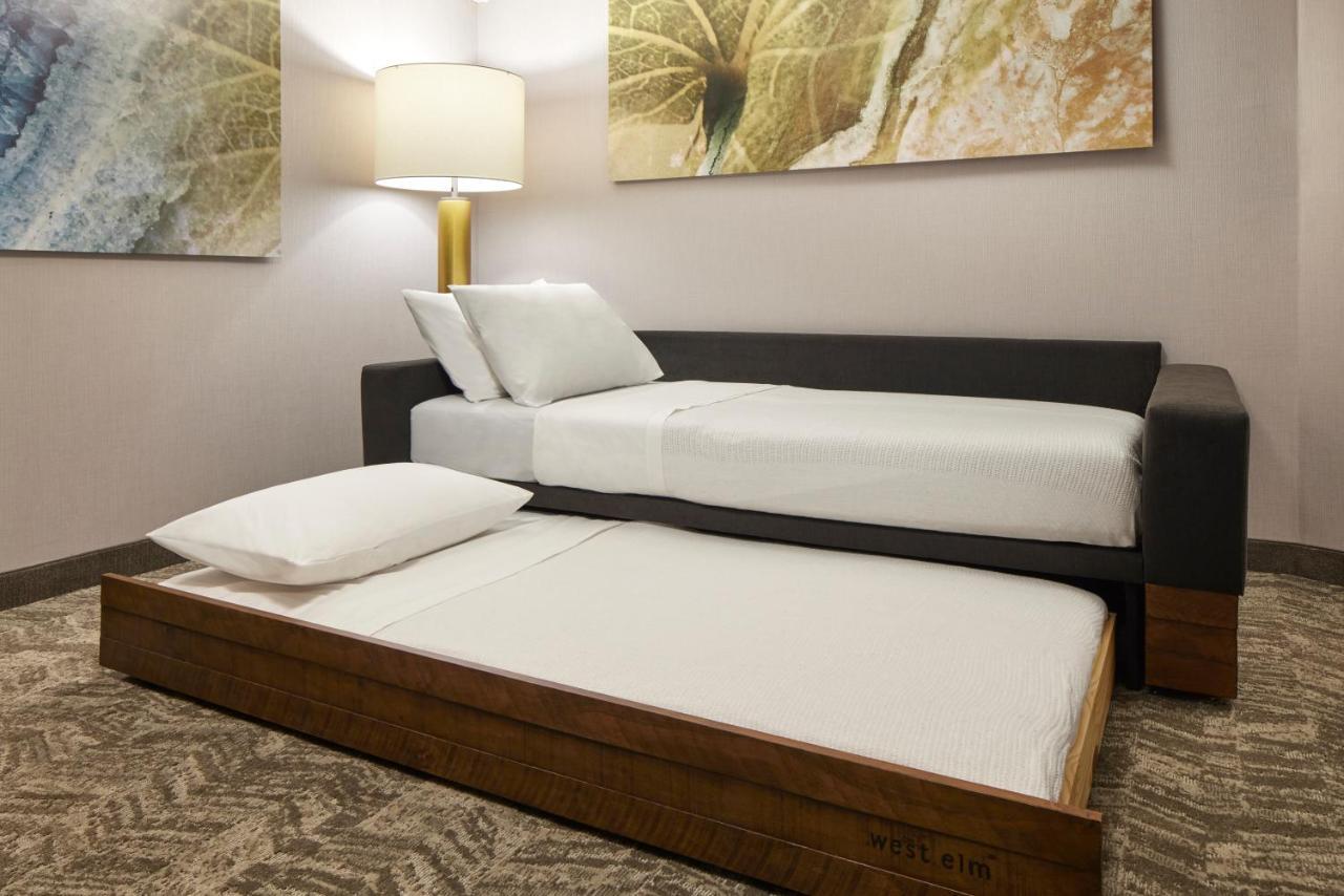 Springhill Suites By Marriott Frederica Εξωτερικό φωτογραφία